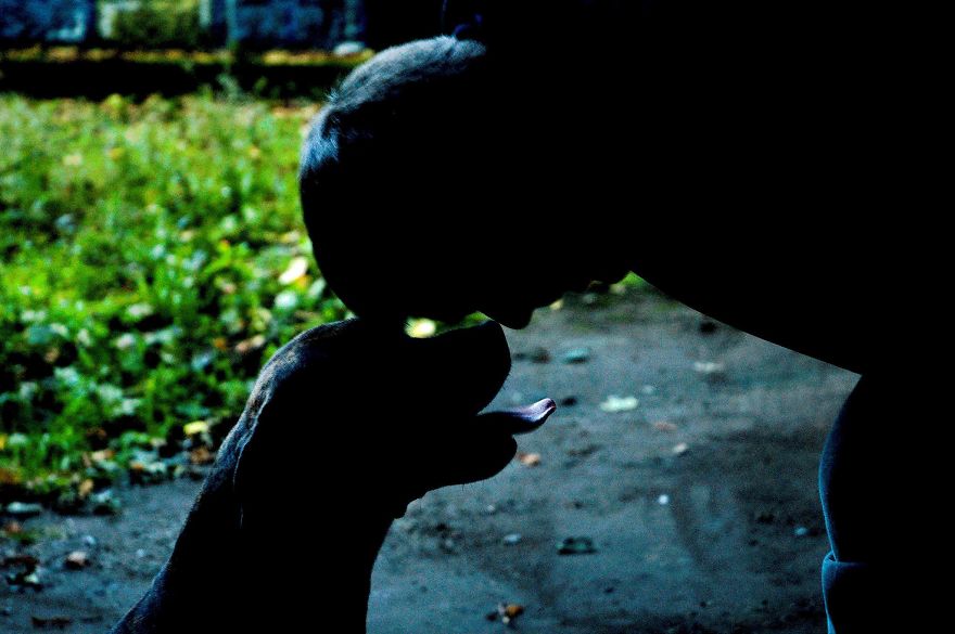 Cuties Not Bullies Cuties Not Bullies