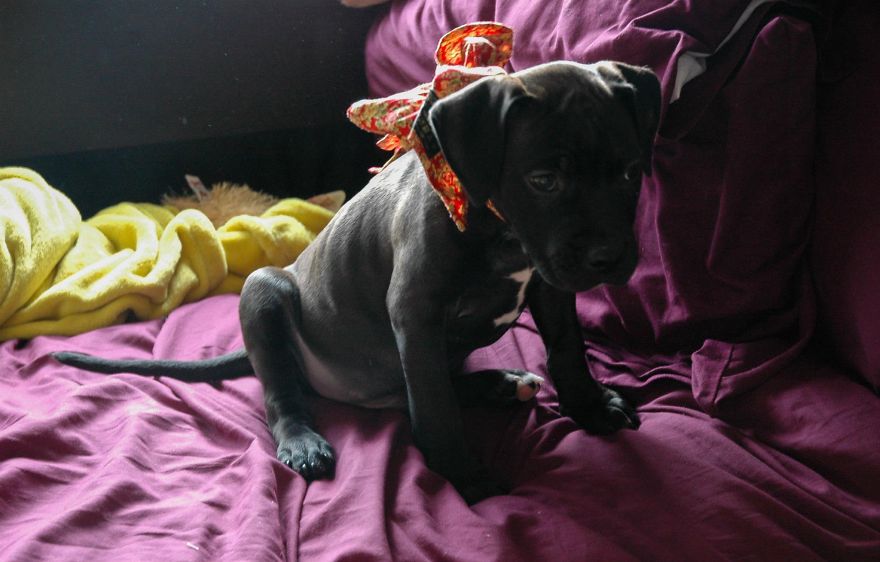 Cuties Not Bullies Cuties Not Bullies