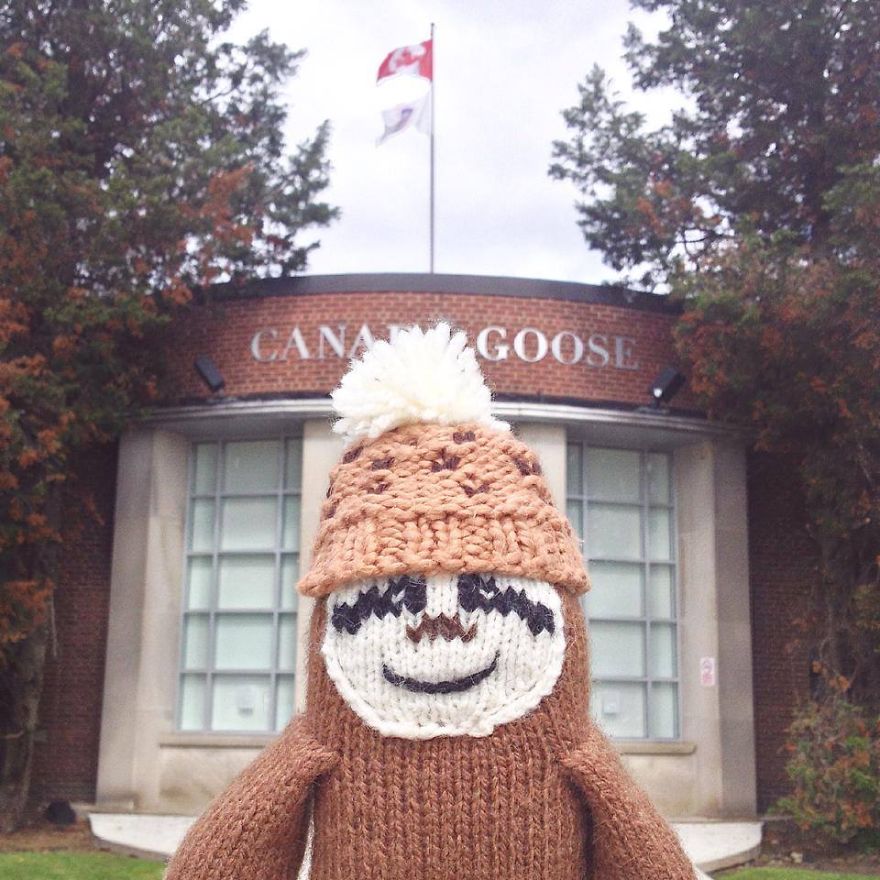 Meet Super Sloth: The Worlds Most Famous Woolen Adventurer