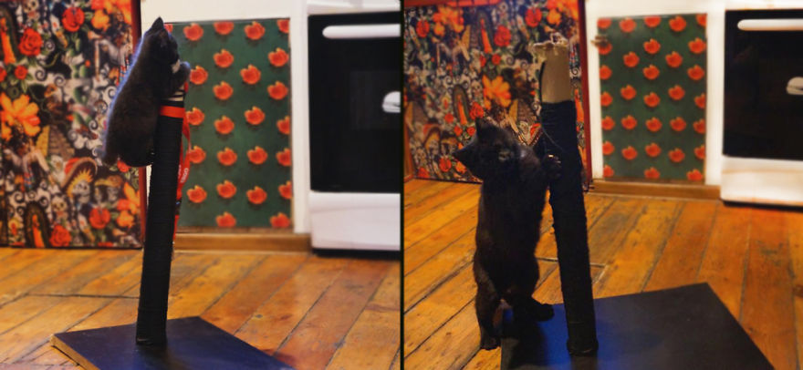 2 Months Vs. 6 Monts To Be Continued