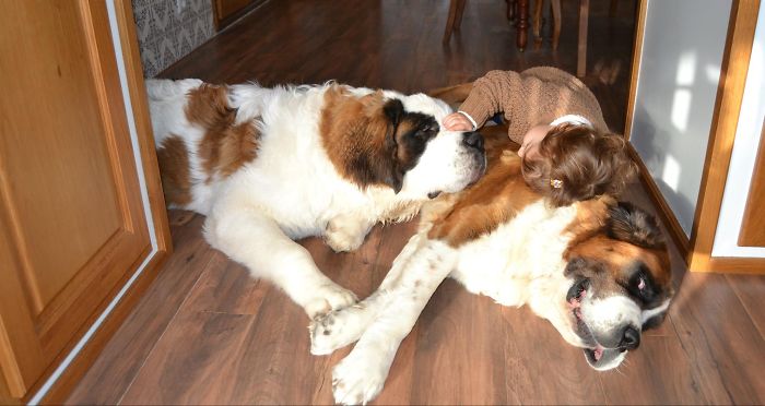 Mafalda And Her Friends Maya & Duke