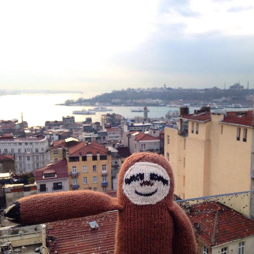 Meet Super Sloth: The Worlds Most Famous Woolen Adventurer Meet Super Sloth: The Worlds Most Famous Woolen Adventurer