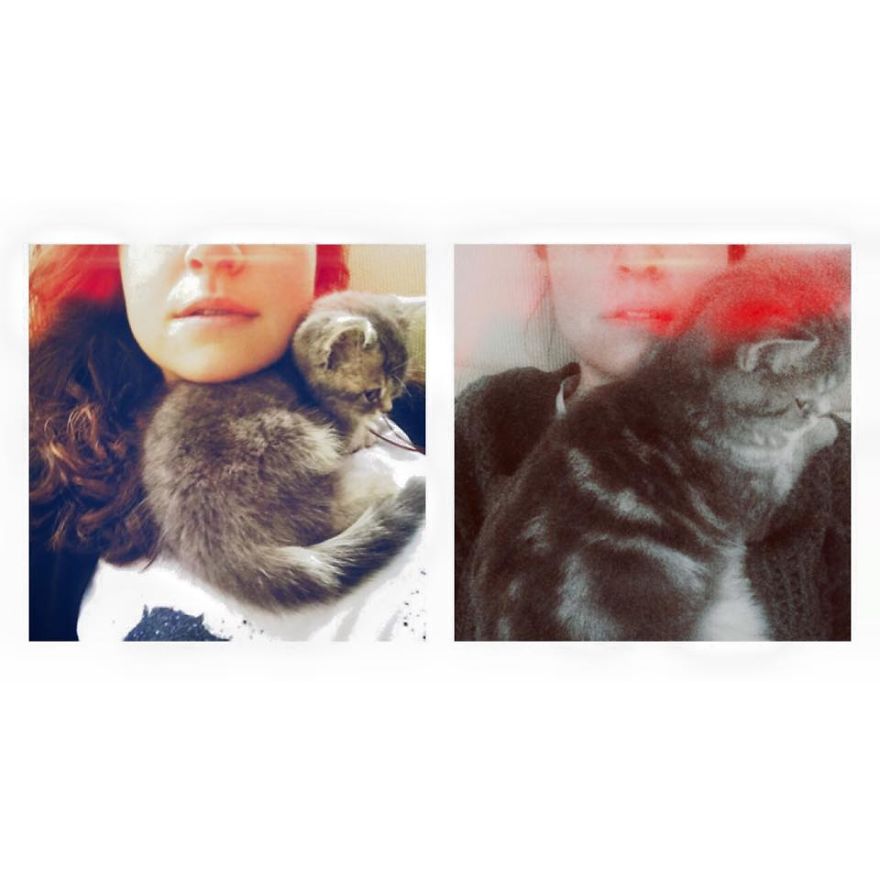 #sutlacthesocialcat Growing Up!