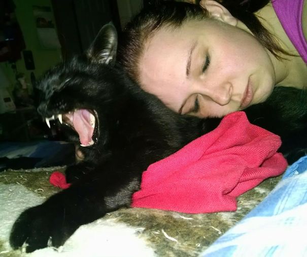 Get Off Me!!!!!!!!!!!!!!