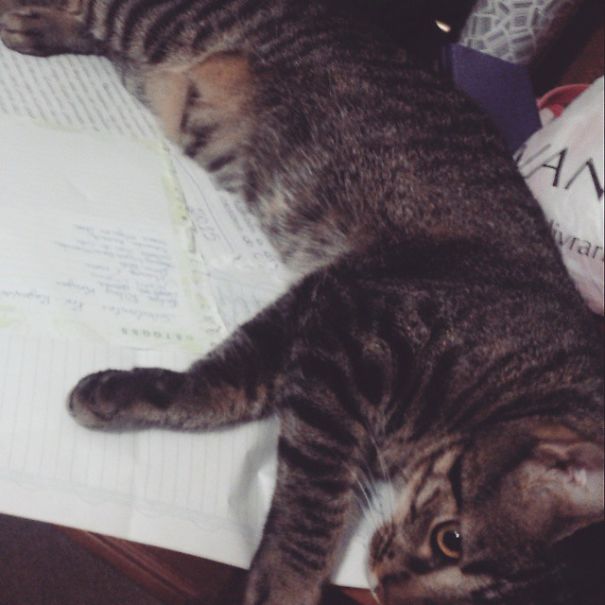 Hmmmm, I Think This Is The Better Place To Retire