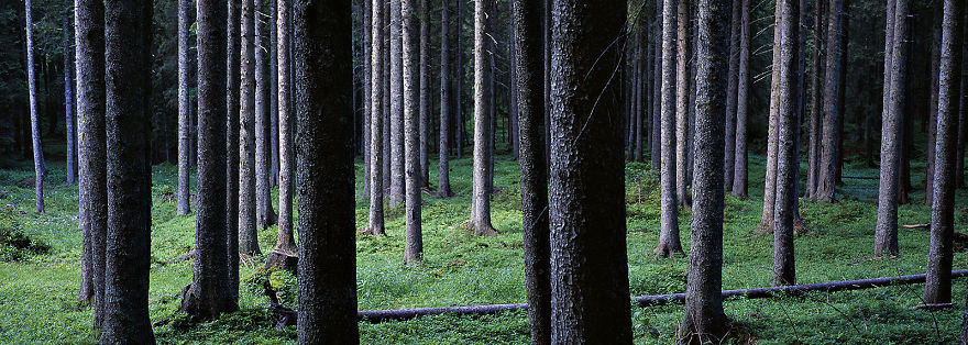 Earth Temples: My Journey Through The Silent Places Of The World Earth Temples: My Journey Through The Silent Places Of The World