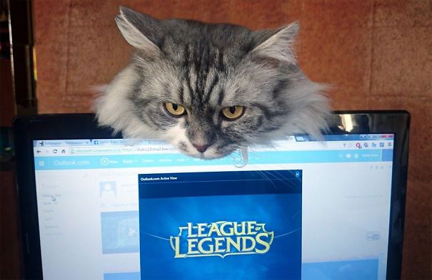 #21 Turn Off That Laptop And Look At Me!