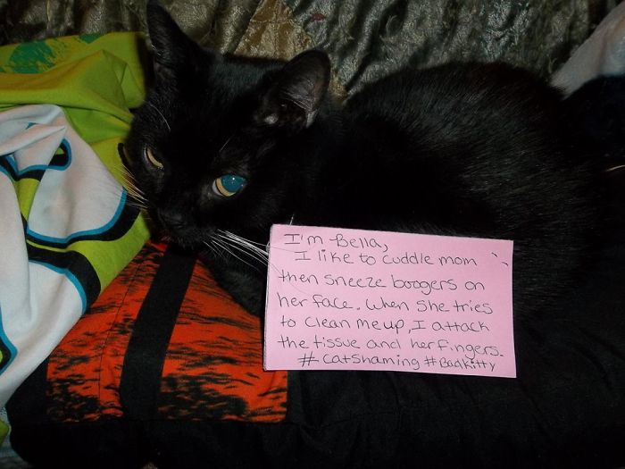 Bella 1 Day Old After Neighbor Tossed Her Into The Parking Lot Thinking She Was Dead.