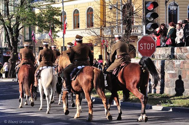 The Last Of The Horses- Suprise