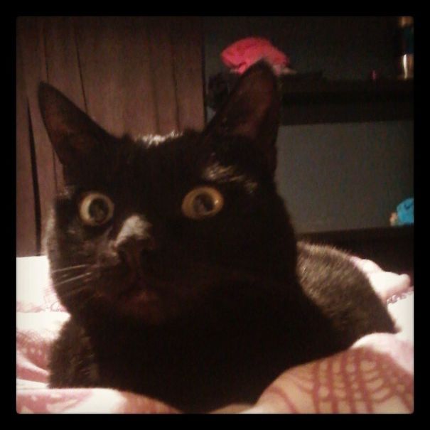 What You're Looking At !?