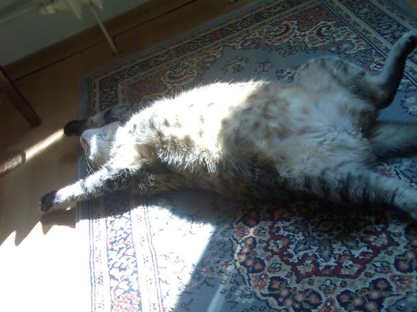 I'll Go To Sleeeeep Now... Feel Free To Join Or...continue Reading While I Sleep