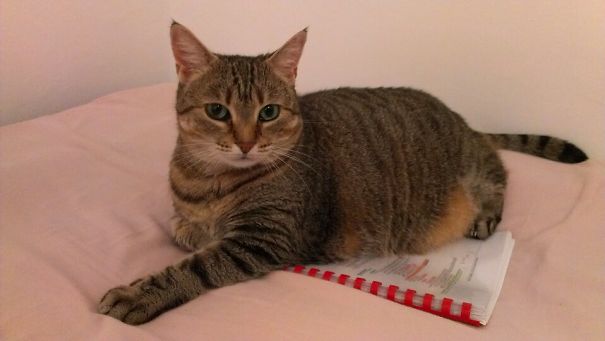 Enough Reading For Today!