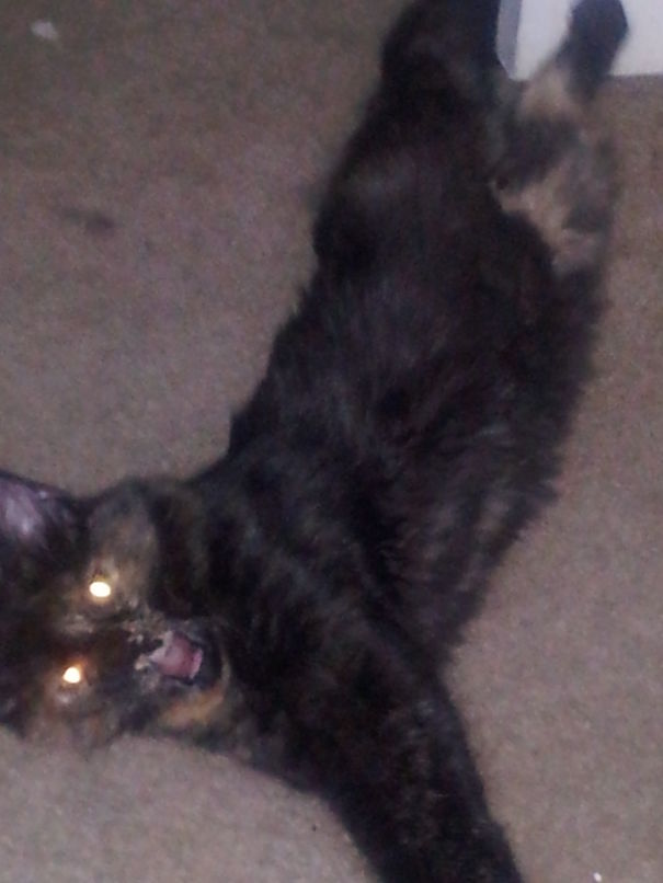 No Pictures, Or I'll Kill You!