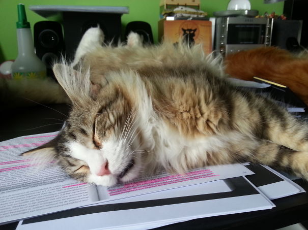 Writing A Thesis....booooringzzzz...