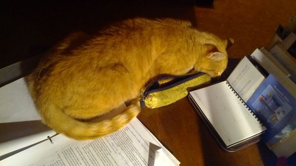 You Don'nt Need To Read That... Do You?