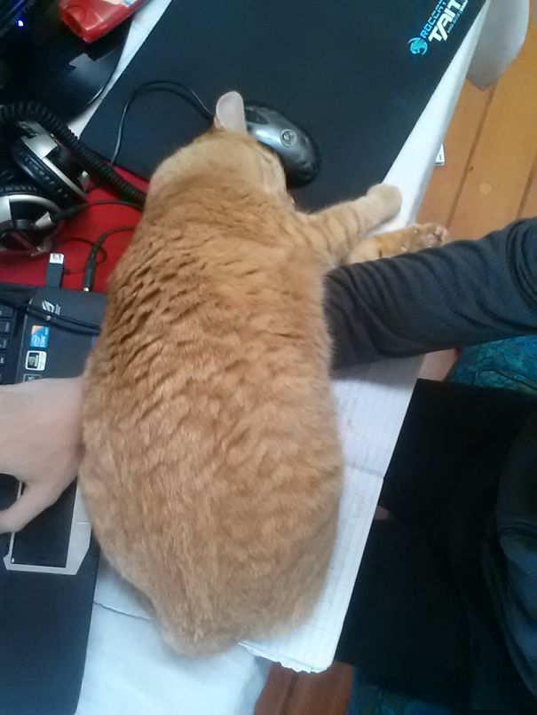 Carpal Tunnel Treatment: Apply Warm Compress