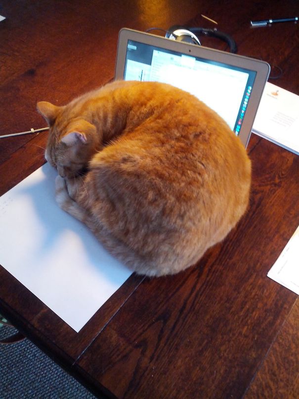 Computer? Where? I Don't See Any.