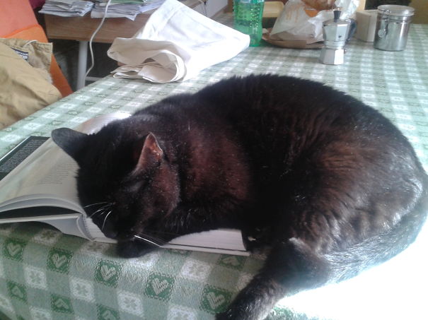 I Do This For Your Own Good, Books Can Be Dangereus