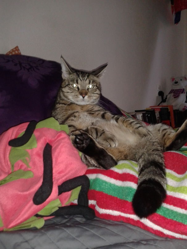 Just Sittin' Waitin'...