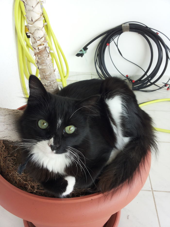 Nerito After A Year!