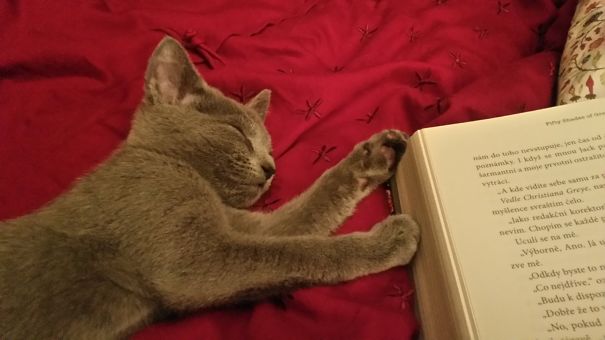 Too Tired From This Boring Story