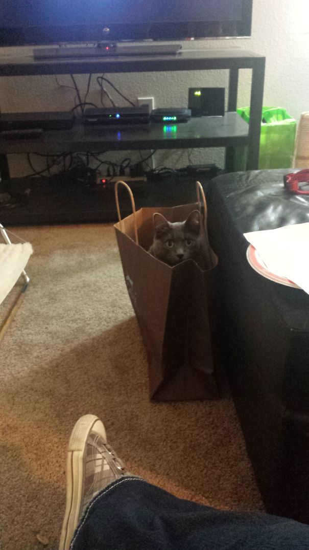 Just Sitting There Staring At Me...