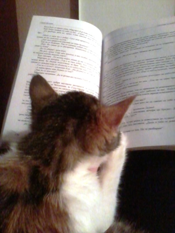 Reading Some Novel... Do Not Interrupt Me!!! :)