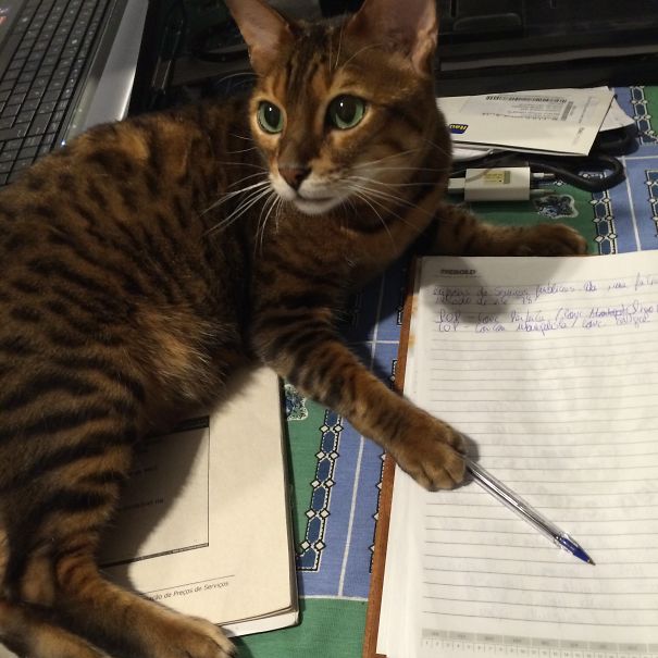 Hey, I See A Mistake Here.