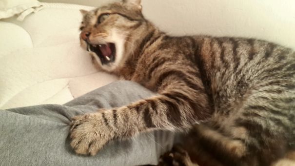 Don't Bother Me, I Haven't Drink My Morning Coffee Yet!