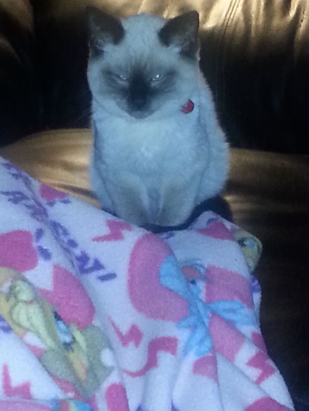 The Sooner You Go To Bed The Sooner You Die