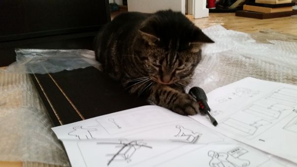 Move Over Human - I'll Handle This!