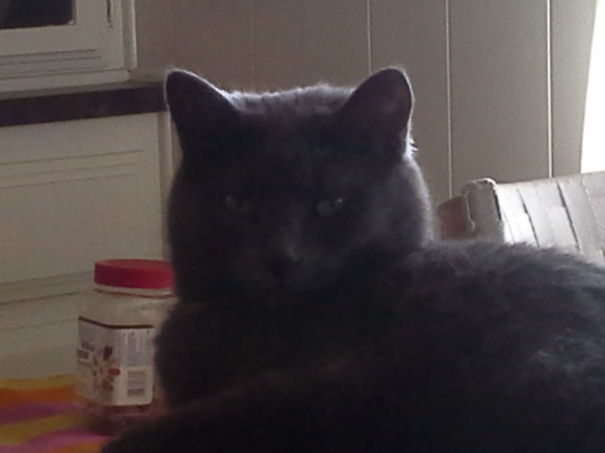 I'm Watching You Bitch