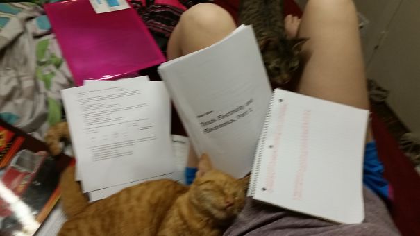 Study Time At My House