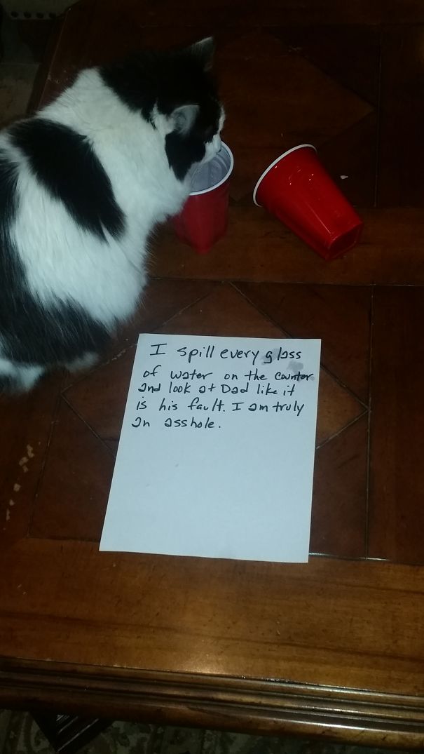 I Make Messes And Lie!