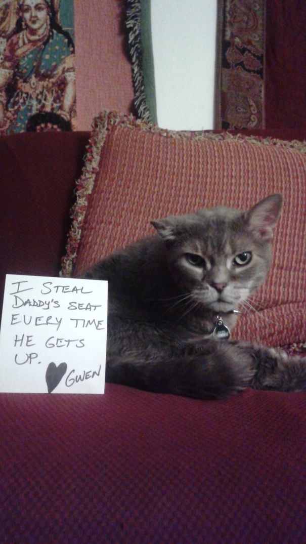 I Steal Daddy's Seat Every Time He Gets Up. Love Gwen.