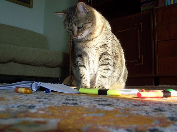 I've Been Reading All Day Long...