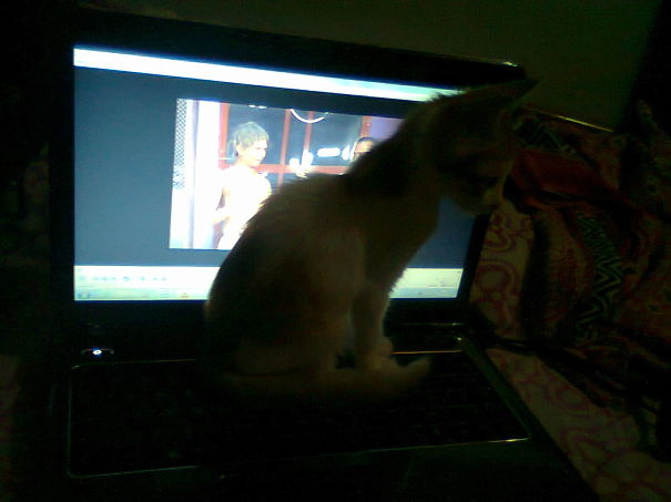 Time Up.. Lets Play..!