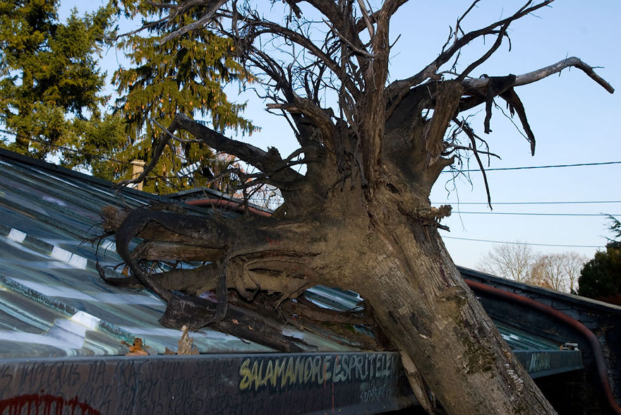 27 Incredible Sculptures From Abode Of Chaos, A Fantasmagoric Place In Europe