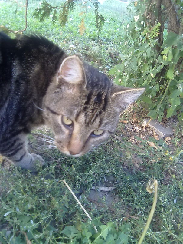 Be Afraid. Be Very Afraid... I'm Watching You!