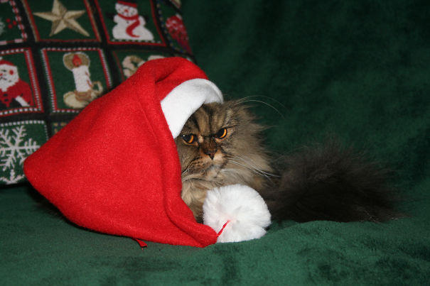 I Hate Holidays! And I Hate Hats!