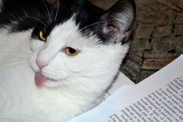 Again With The Reading?yack...