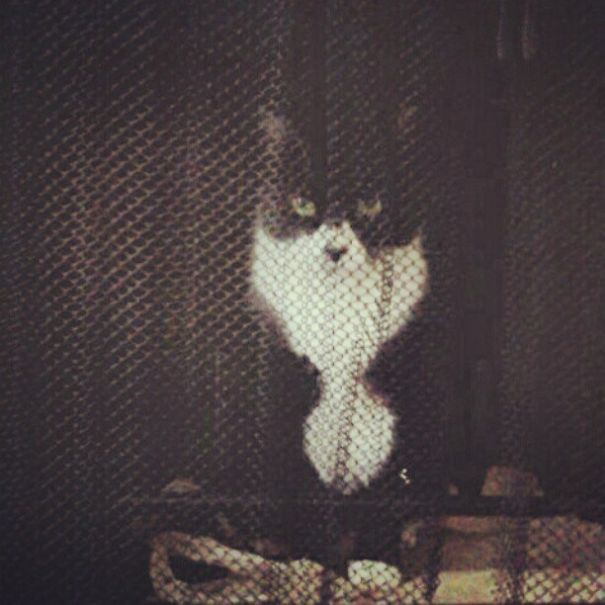 Plotting Your Death.