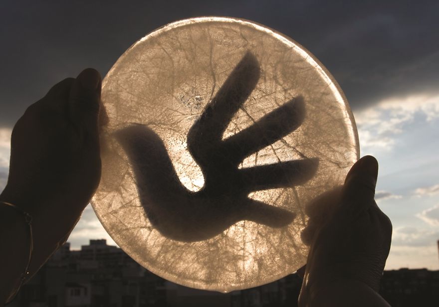 The Universal Logo Of Human Rights | Униеверсален символ на правата на човека