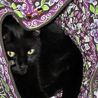 elayne_morgan_54 avatar