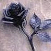 melissageddes avatar