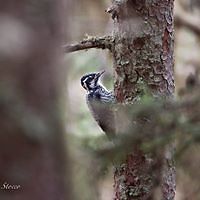 fabien_stocco_9 avatar