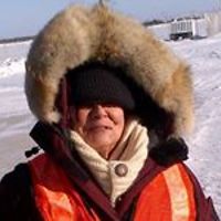 lynnsimmons_north avatar