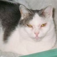 ilona_glaubitz avatar