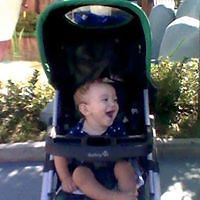 cynthia_morrow_52 avatar