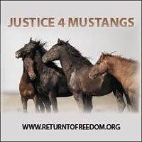 leslie_newcomer avatar